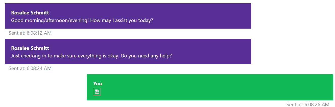 Testing chatbox with img payload