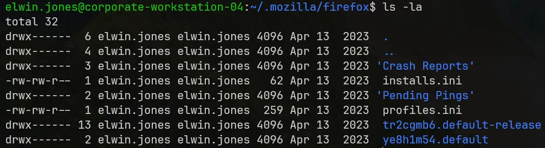 elwin.jones Firefox profile