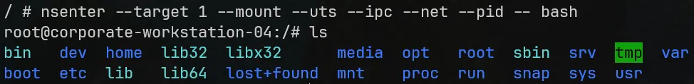 nsenter to workstation root