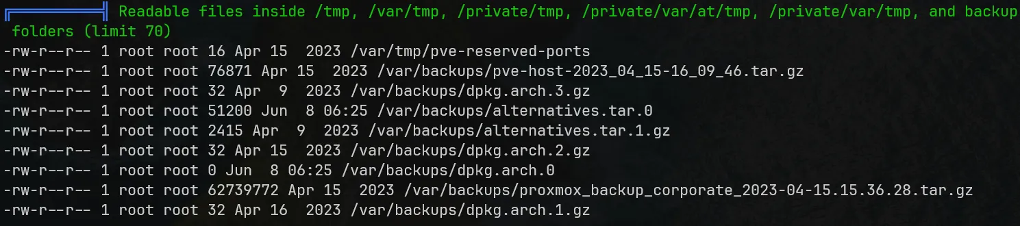 Readable Proxmox backup files