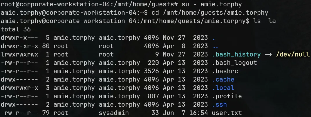 sysadmin group, amie.torphy